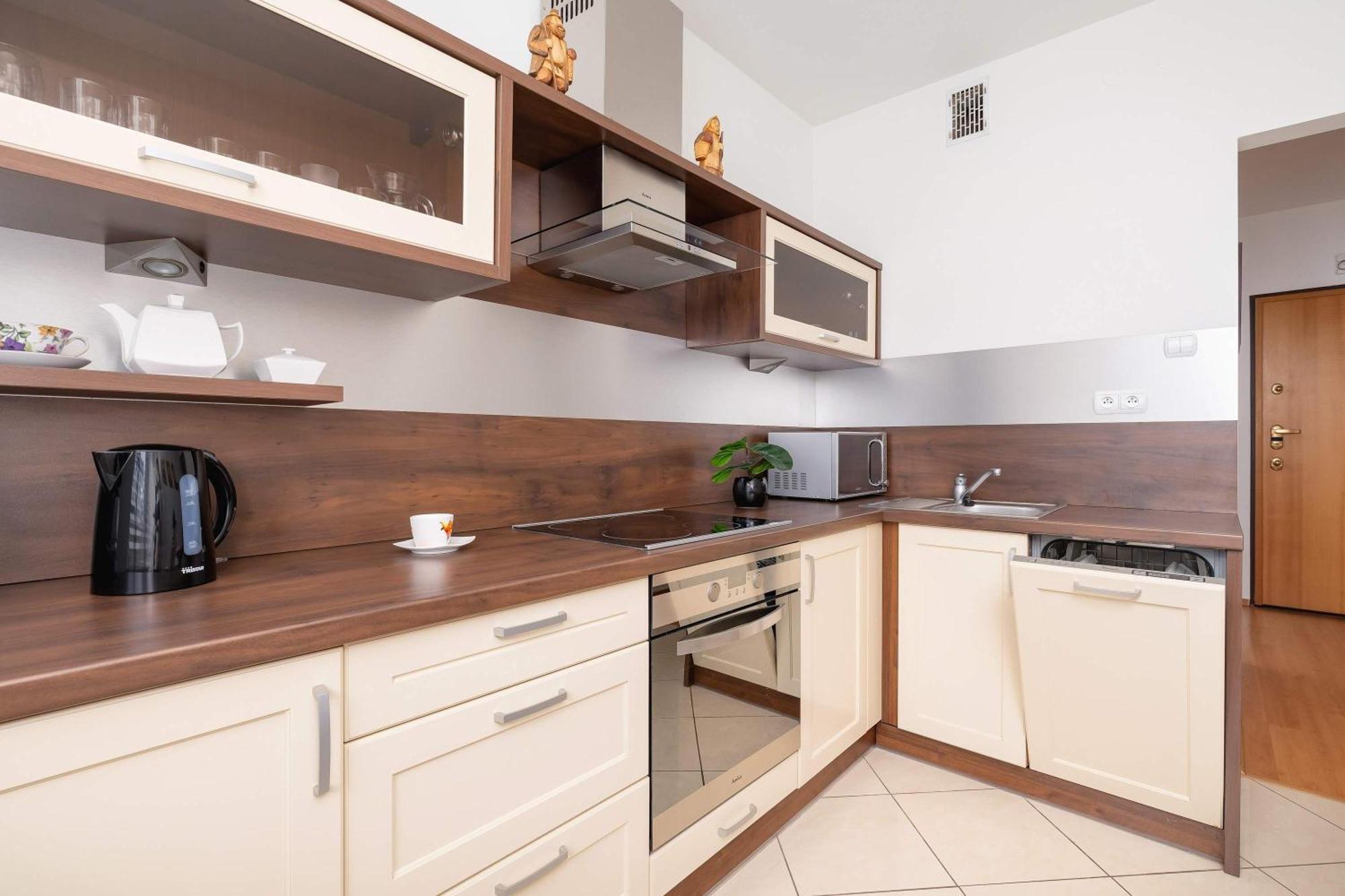 Bright Near Ice With Air Conditioning And Parking By Renters Краків